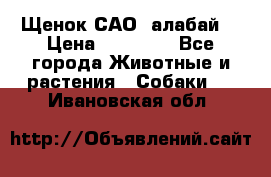 Щенок САО (алабай) › Цена ­ 10 000 - Все города Животные и растения » Собаки   . Ивановская обл.